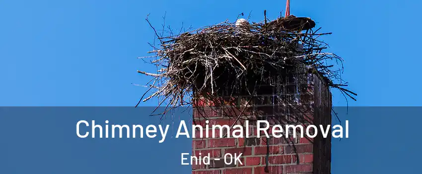 Chimney Animal Removal Enid - OK