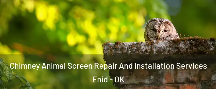  Chimney Animal Screen Repair And Installation Services Enid - OK