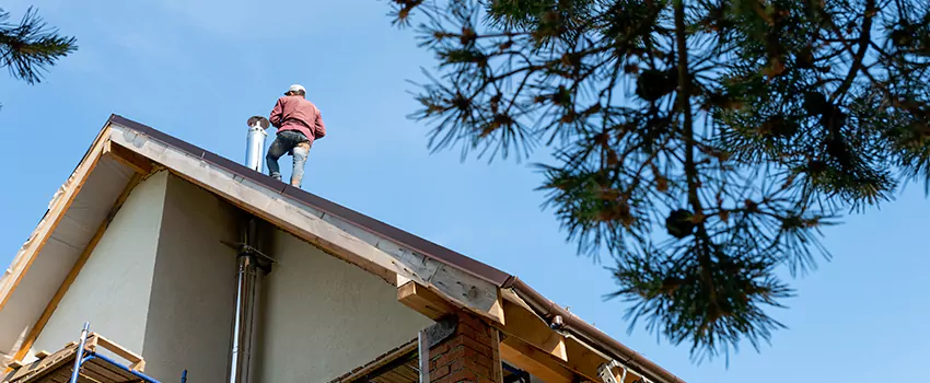 Birds Removal Contractors from Chimney in Enid, OK