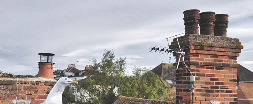 Chimney Cleaning And Restoration in Enid, Oklahoma