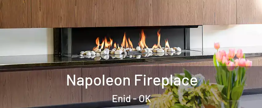  Napoleon Fireplace Enid - OK